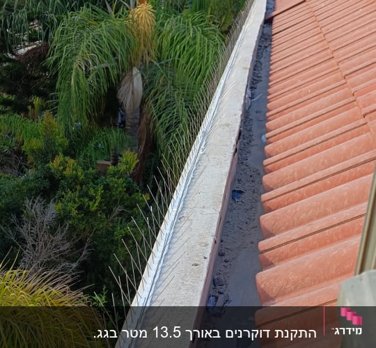 דוקרנים למניעת יונים על גג רעפים אדום